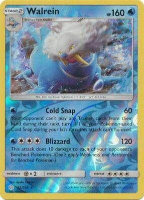 Walrein